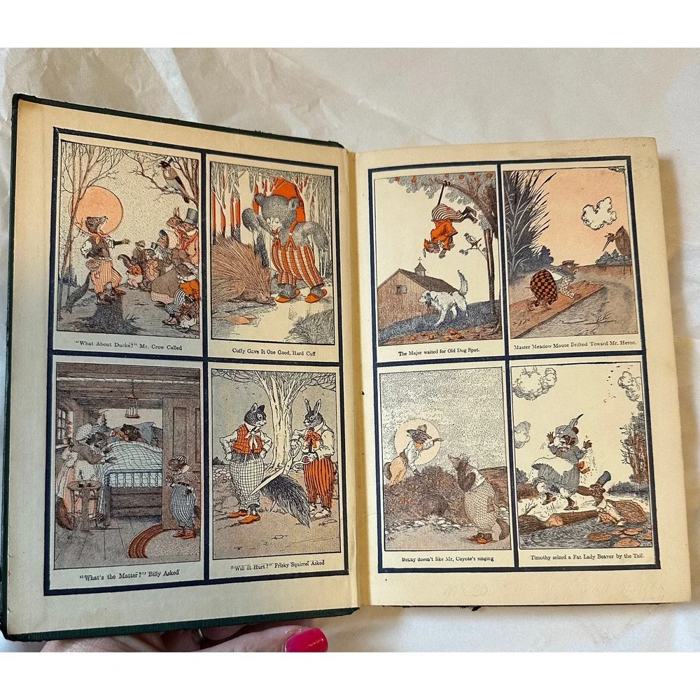 1916 The Tale of Brownie Beaver by Arthur Scott Bailey